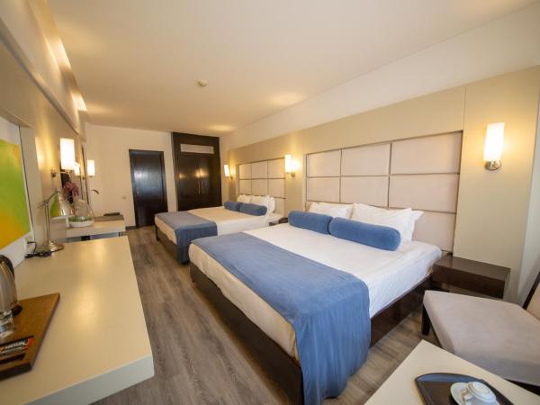 MY Hotel : photo 1 de la chambre chambre quadruple