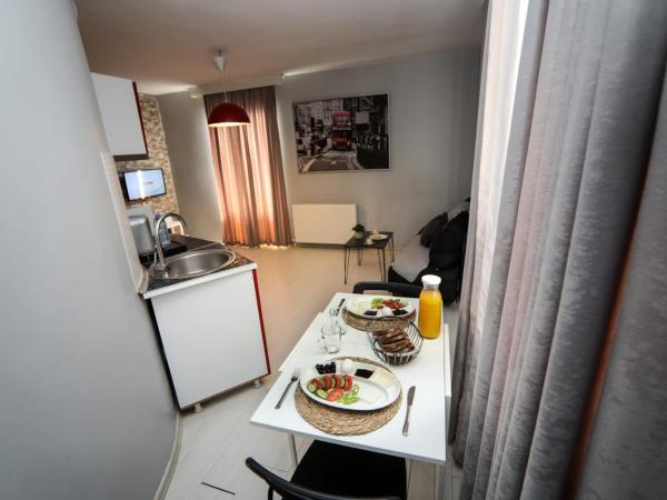 Arkem Hotel 3 : photo 2 de la chambre appartement 1 chambre