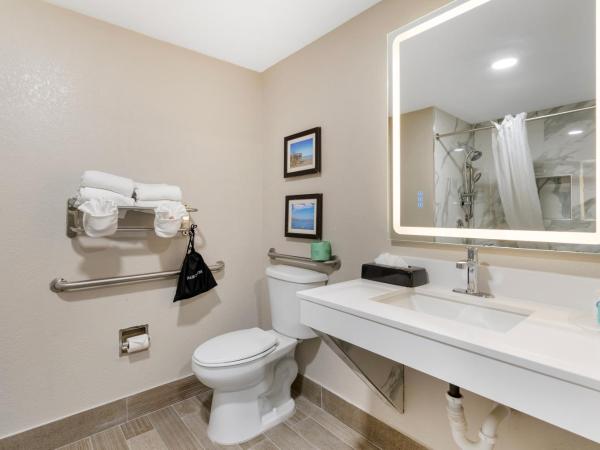 Comfort Suites West Jacksonville : photo 3 de la chambre suite avec lit king-size pour personnes à mobilité réduite - non-fumeurs