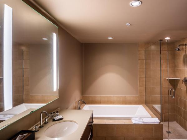 Evolution Whistler : photo 6 de la chambre appartement 1 chambre