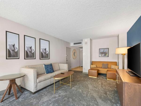 DoubleTree by Hilton Tucson-Reid Park : photo 4 de la chambre suite lit king-size standard