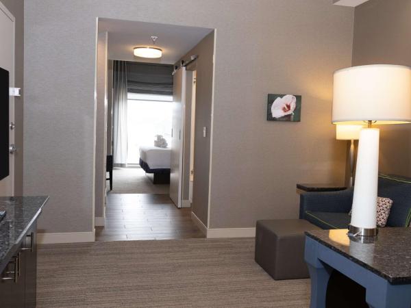 Hilton Garden Inn Austin Airport : photo 1 de la chambre suite junior lit king-size avec canapé-lit