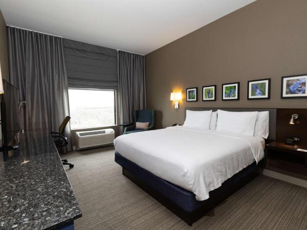 Hilton Garden Inn Austin Airport : photo 2 de la chambre suite junior lit king-size avec canapé-lit