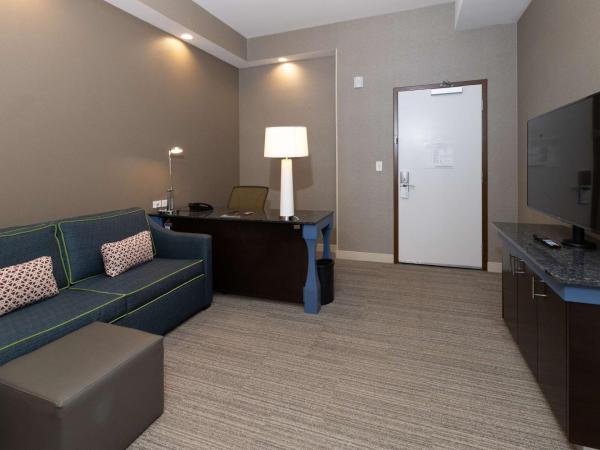Hilton Garden Inn Austin Airport : photo 3 de la chambre suite junior lit king-size avec canapé-lit
