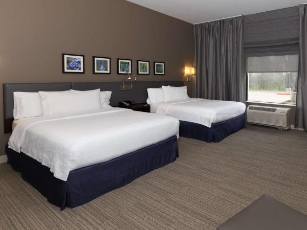 Hilton Garden Inn Austin Airport : photo 3 de la chambre chambre double avec 2 lits doubles - non-fumeurs
