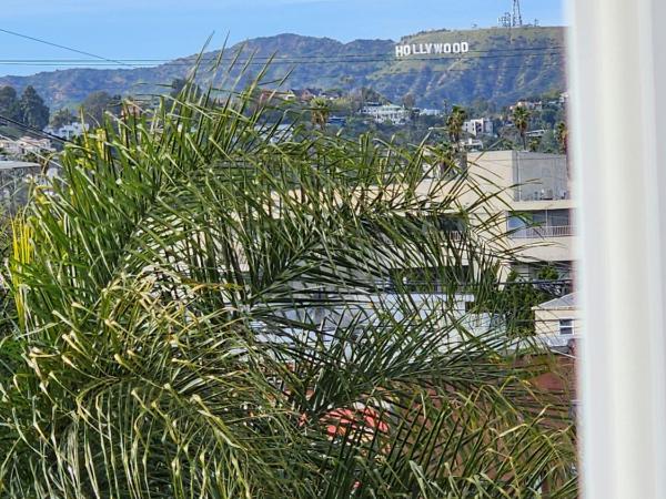 Normandie Hostel : photo 5 de la chambre suite