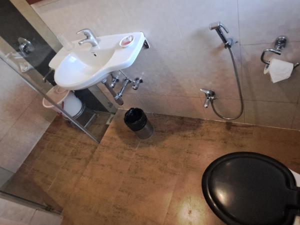 Hotel Swaroop : photo 7 de la chambre chambre double ou lits jumeaux standard