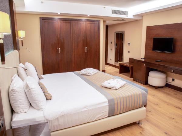 Grand Aras Hotel & Suites : photo 1 de la chambre chambre lit king-size supérieure