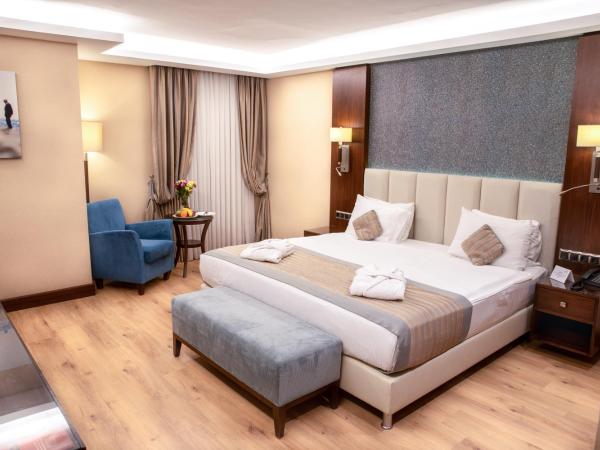 Grand Aras Hotel & Suites : photo 3 de la chambre chambre lit king-size supérieure