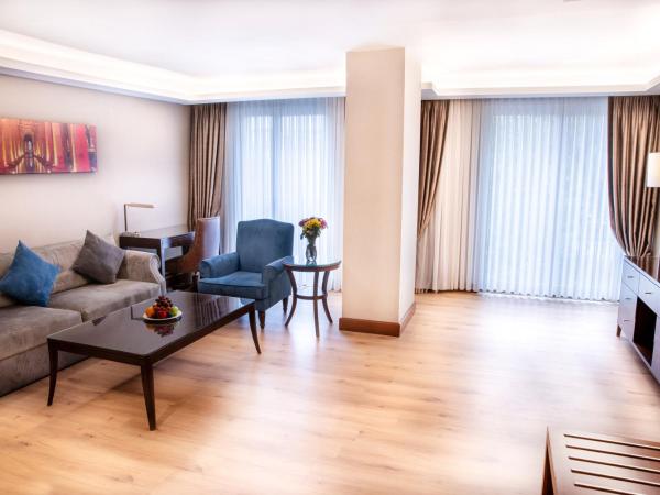 Grand Aras Hotel & Suites : photo 4 de la chambre suite 1 chambre