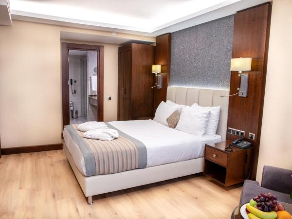 Grand Aras Hotel & Suites : photo 3 de la chambre suite 2 chambres
