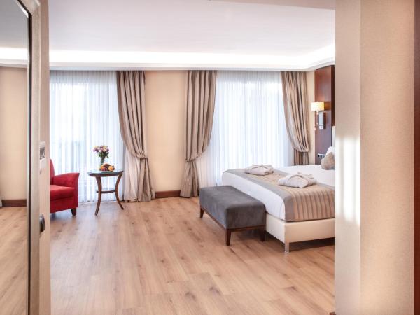 Grand Aras Hotel & Suites : photo 1 de la chambre chambre double deluxe