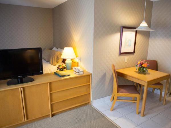 Cartier Place Suite Hotel : photo 3 de la chambre suite studio exécutive 