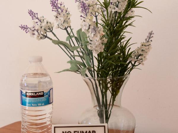 Suites Sevilla : photo 8 de la chambre chambre lit queen-size deluxe