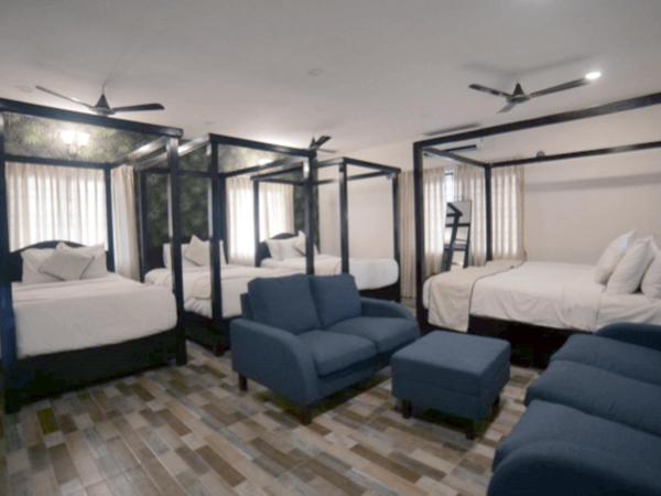 Brown Town Resort & Spa : photo 4 de la chambre chambre familiale - vue sur jardin