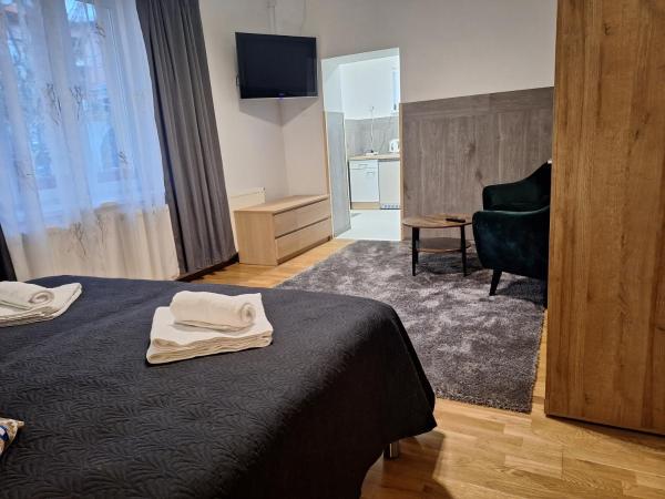 Filsdeger Royal Panzió : photo 8 de la chambre appartement avec terrasse