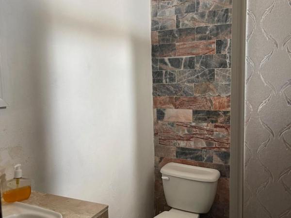 Hotel Cupules : photo 2 de la chambre chambre double ou lits jumeaux supérieure