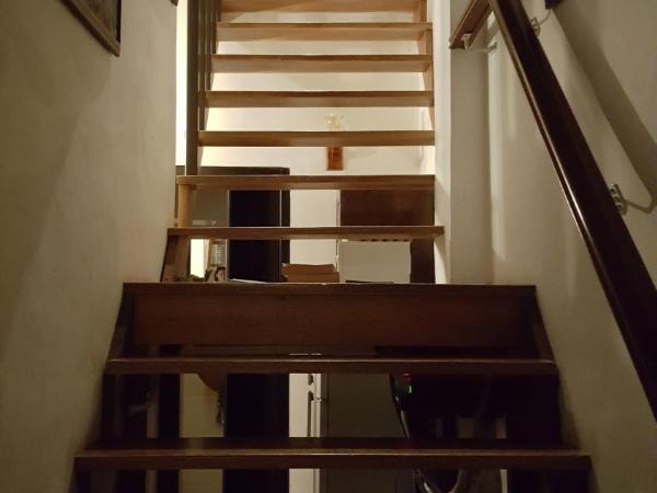 New Great Shanghai Female Hostel : photo 1 de la chambre lit superposé dans dortoir pour femmes