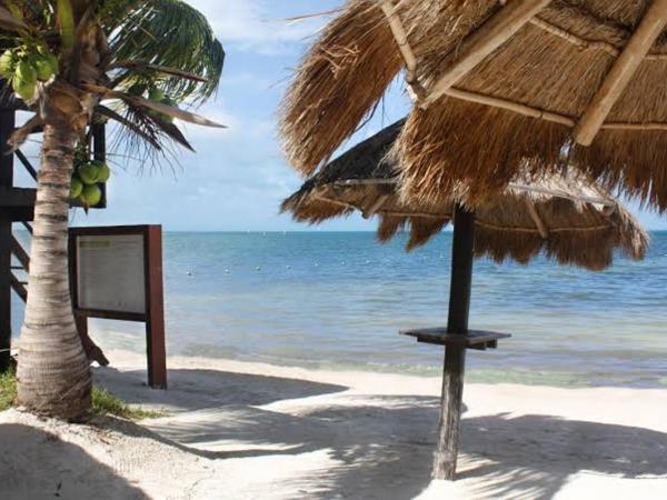 Arena room : photo 9 de la chambre chambre double