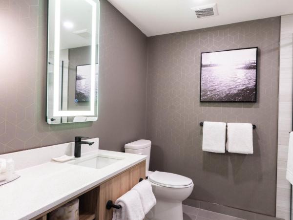 Sandman Signature Dartmouth Hotel & Suites : photo 5 de la chambre chambre 1 lit king-size standard avec canapé-lit