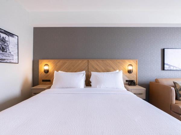 Sandman Signature Dartmouth Hotel & Suites : photo 3 de la chambre chambre 1 lit king-size standard avec canapé-lit