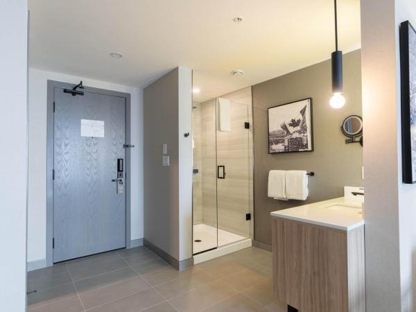 Sandman Signature Dartmouth Hotel & Suites : photo 6 de la chambre standard room, 1 king bed, sofa bed, euro bathroom