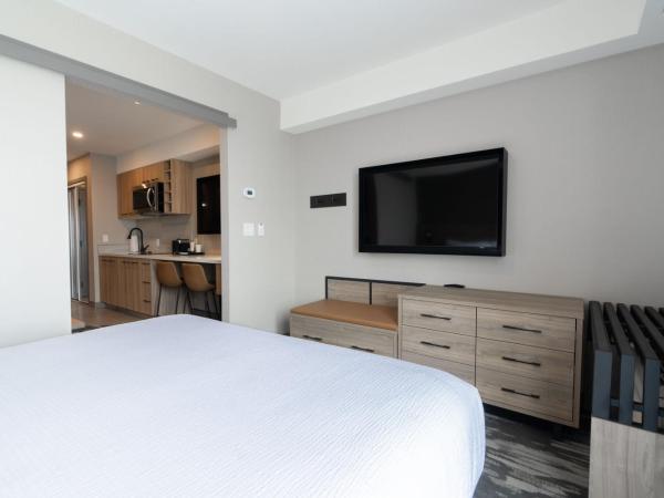 Sandman Signature Dartmouth Hotel & Suites : photo 2 de la chambre suite standard avec 1 lit king-size, canapé-lit et cuisine