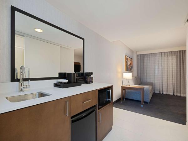 Embassy Suites Chicago - Downtown River North : photo 4 de la chambre chambre lit king-size - accessible aux personnes à mobilité réduite - non-fumeurs