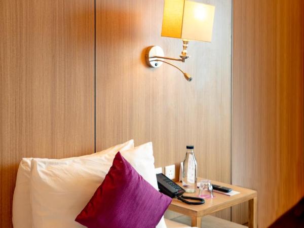 Royal Orchid Central Jaipur, Bani Park : photo 3 de la chambre chambre double ou lits jumeaux avec vue