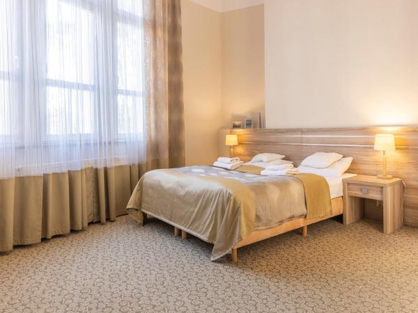 Hotel Cesarskie Ogrody : photo 4 de la chambre delux apartment in main building