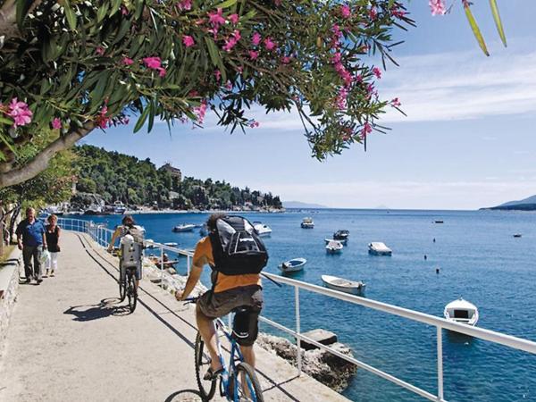 Apartments Ljerka : photo 9 de la chambre appartement