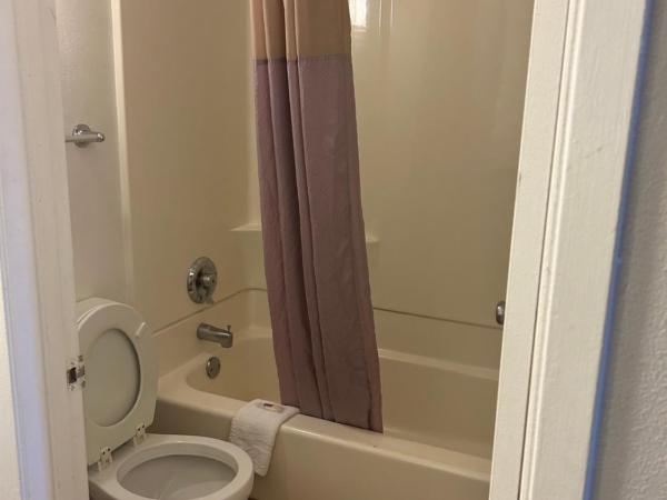 Motel 6-Austin, TX : photo 3 de la chambre chambre double avec 2 lits doubles et douche accessible en fauteuil roulant - adaptée aux personnes à mobilité réduite