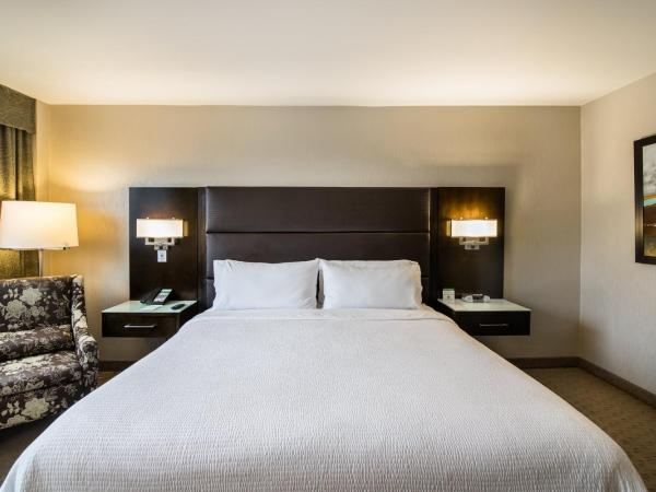 Holiday Inn Vancouver-Centre Broadway, an IHG Hotel : photo 6 de la chambre chambre lit king-size standard - Étage supérieur