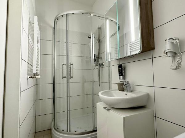 Art Hotel Vienna : photo 4 de la chambre appartement avec douche