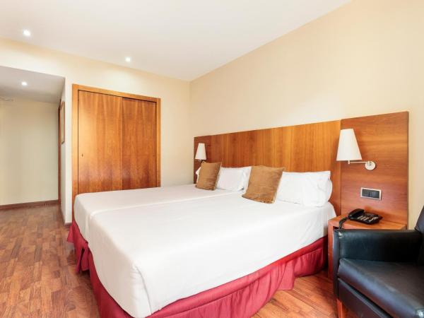 Hotel Best Aranea : photo 3 de la chambre chambre lits jumeaux