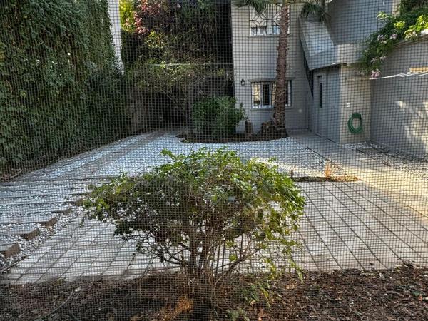 Casa Jazmin : photo 4 de la chambre appartement - vue sur jardin