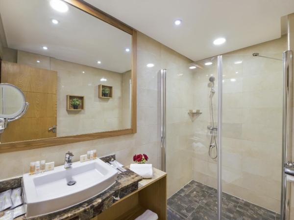 Melliber Appart Hotel : photo 9 de la chambre suite or