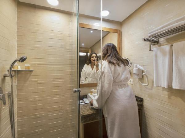 Melliber Appart Hotel : photo 8 de la chambre studio silver 