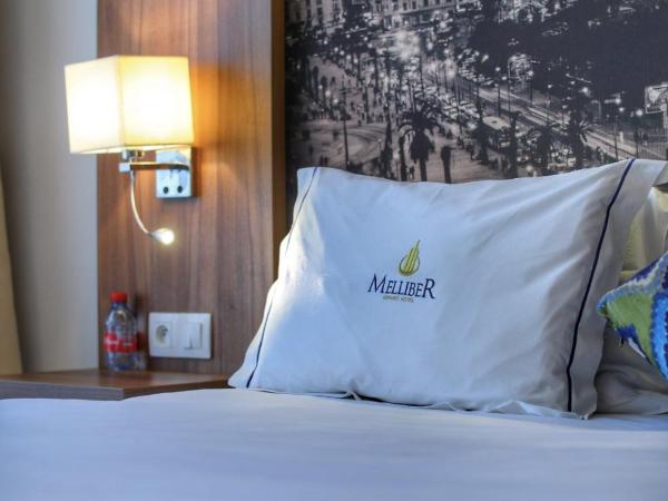 Melliber Appart Hotel : photo 9 de la chambre studio silver 