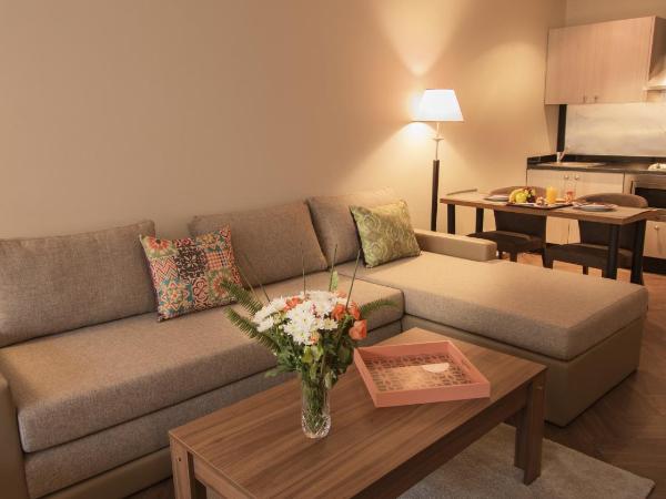 Melliber Appart Hotel : photo 10 de la chambre studio silver 