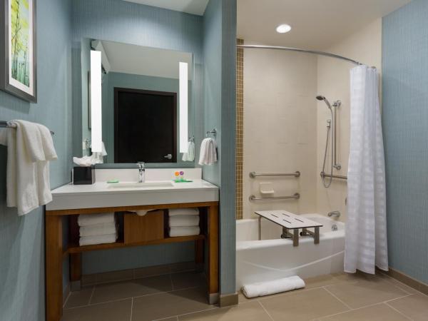 Hyatt Place Chicago/Downtown - The Loop : photo 8 de la chambre chambre lit king-size pour personnes à mobilité réduite avec canapé-lit et baignoire adaptée