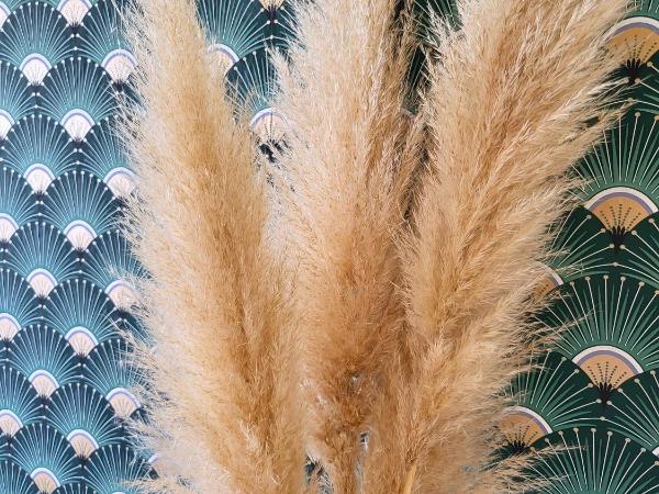 Hôtel de la Mer : photo 9 de la chambre chambre double - vue sur montagne