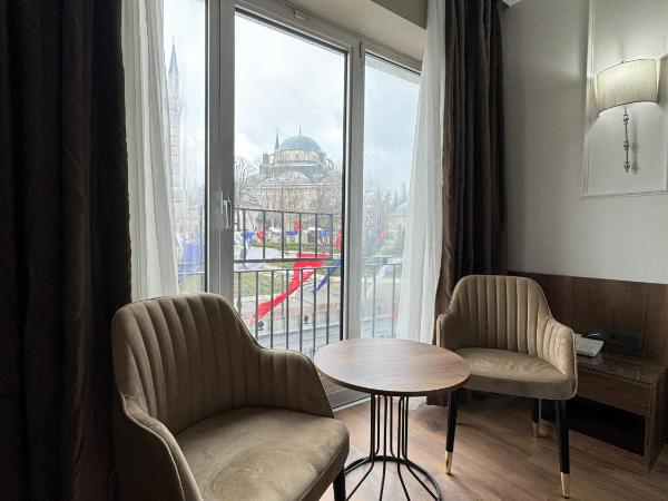 The Hotel Beyaz Saray & Spa - Special Category : photo 8 de la chambre chambre double ou lits jumeaux supérieure avec vue sur ville