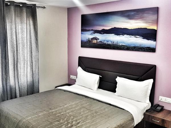 Hotel Delhi Aerocity, NH 8 : photo 4 de la chambre chambre double super deluxe