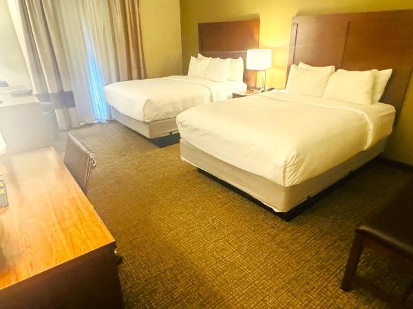 Comfort Inn Downtown : photo 2 de la chambre chambre 2 lits queen-size - non-fumeurs