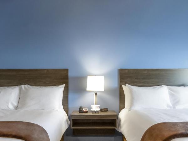 My Place Hotel-Las Vegas South/Henderson, NV : photo 2 de la chambre chambre avec 2 grands lits queen-size 