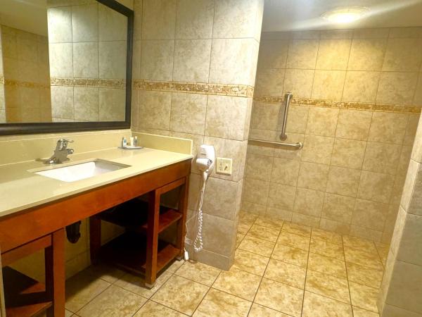 Comfort Inn Downtown : photo 6 de la chambre chambre lit king-size - accessible aux personnes à mobilité réduite/non-fumeurs