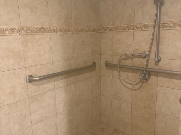 Comfort Inn Downtown : photo 4 de la chambre chambre lit king-size - accessible aux personnes à mobilité réduite/non-fumeurs