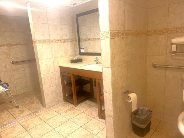 Comfort Inn Downtown : photo 3 de la chambre chambre lit king-size - accessible aux personnes à mobilité réduite/non-fumeurs