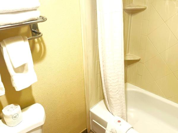 Comfort Inn Downtown : photo 4 de la chambre chambre lit queen-size - non-fumeurs